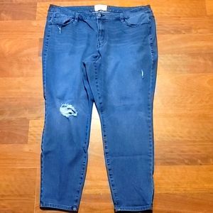 Lane Bryant skinny jeans